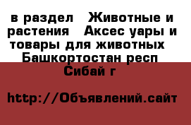  в раздел : Животные и растения » Аксесcуары и товары для животных . Башкортостан респ.,Сибай г.